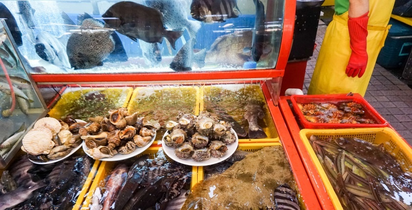 在釜山，必去的打卡地！（四）