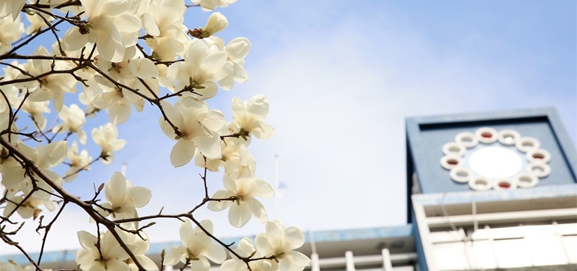 韩国东亚大学2021年艺术类招生简章