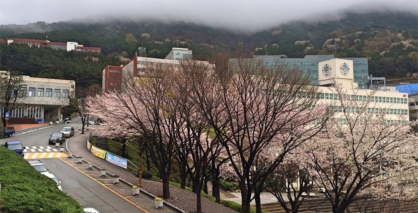 八一八，我留学的韩国东亚大学~