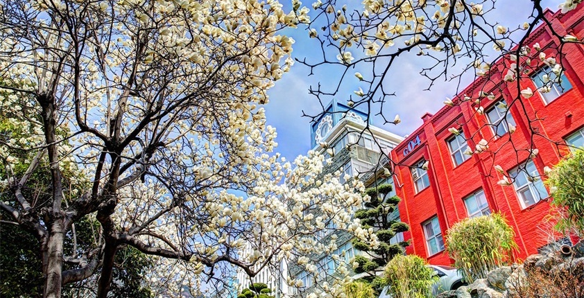 关于韩国东亚大学留学2020届新生通知