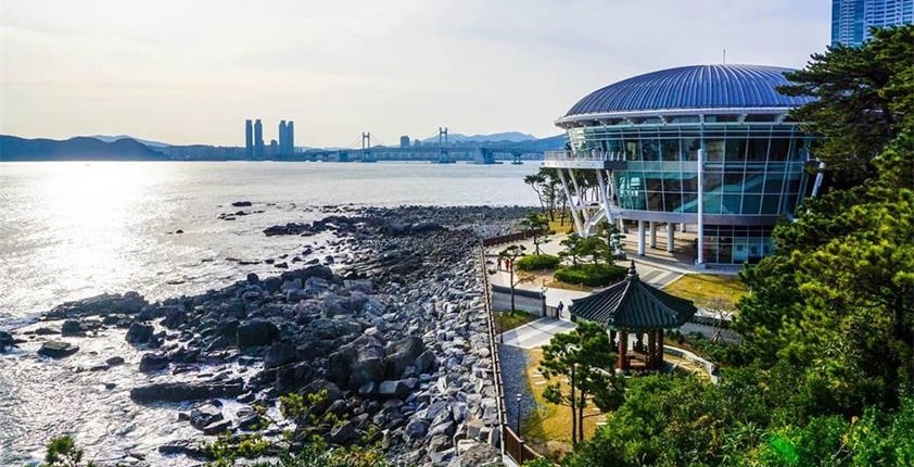  国内上专科还是去韩国读本科？