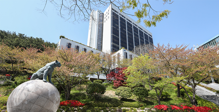 国内大专怎么专插本韩国的大学？