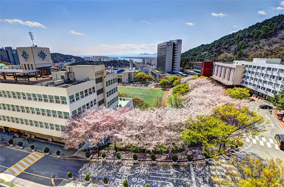 韩国东亚大学校景