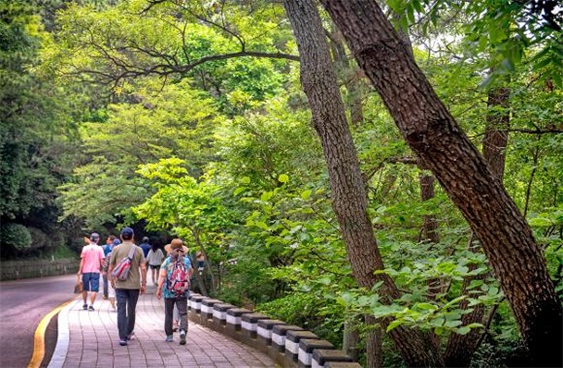 徒步到韩国釜山绣球花文化节