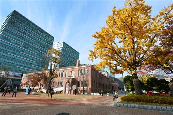 韩国东亚大学富民校区秋景