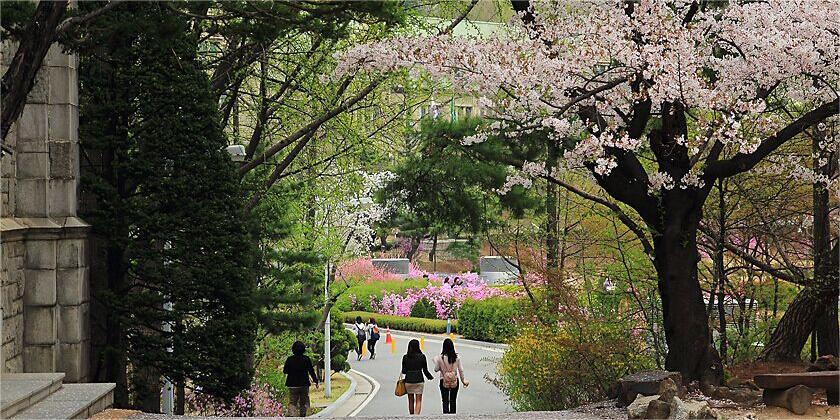 韩国教育部公开高校「行政监查革新方向」 旨在减少教育部监查对大学的限制