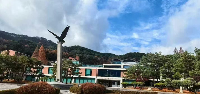 延世大学2025国际本科招生简章
